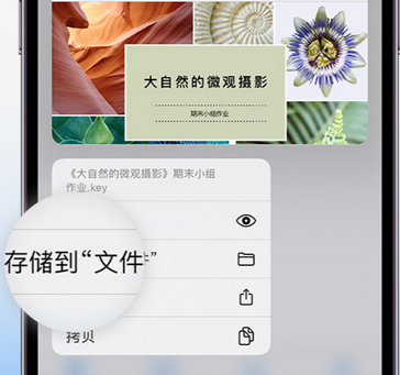 轵城镇apple维修中心分享iPhone文件应用中存储和找到下载文件