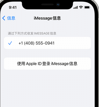 轵城镇apple维修iPhone上无法正常发送iMessage信息 