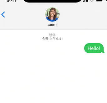 轵城镇apple维修iPhone上无法正常发送iMessage信息