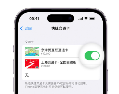 轵城镇apple维修点分享iPhone上更换Apple Pay快捷交通卡手绘卡面 