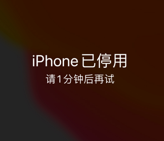 轵城镇苹果手机维修分享:iPhone 显示“不可用”或“已停用”怎么办？还能保留数据吗？ 