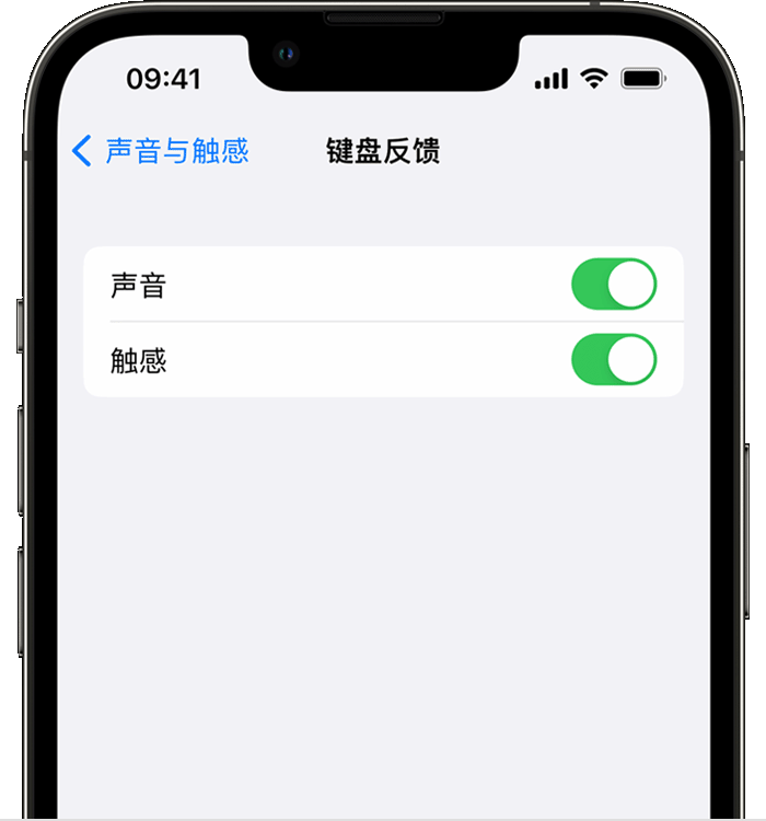 轵城镇苹果14维修店分享如何在 iPhone 14 机型中使用触感键盘 