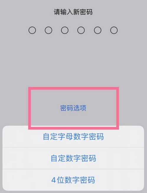 轵城镇苹果14维修分享iPhone 14plus设置密码的方法 