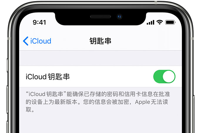 轵城镇苹果手机维修分享在 iPhone 上开启 iCloud 钥匙串之后会储存哪些信息 